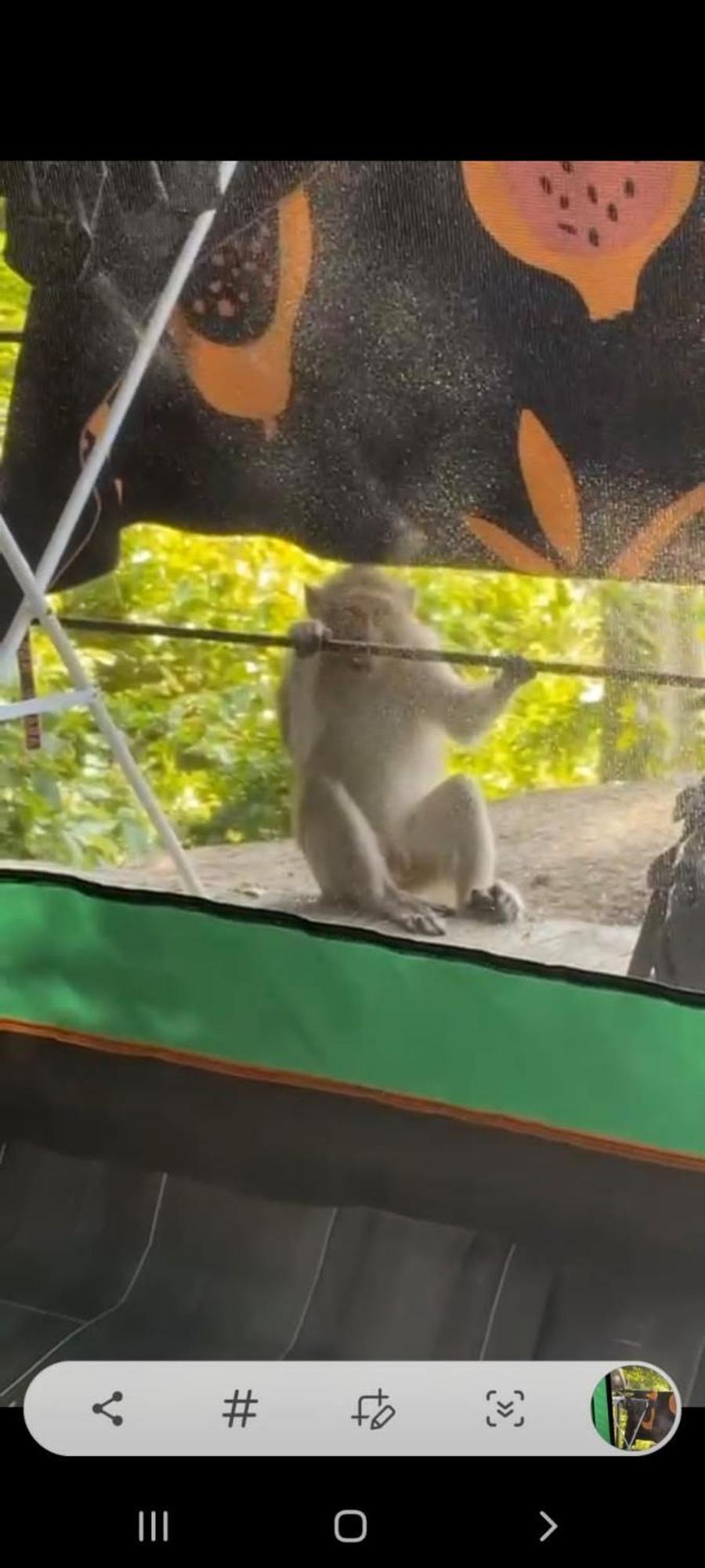 Joy Camping هاد رين المظهر الخارجي الصورة